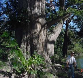 Hill Country Adventures - Birding, Kayaking