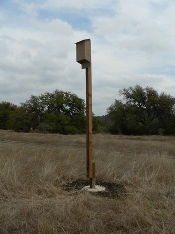 Hill Country Adventures - Birding, Kayaking