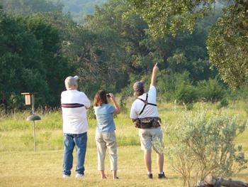 birding photos